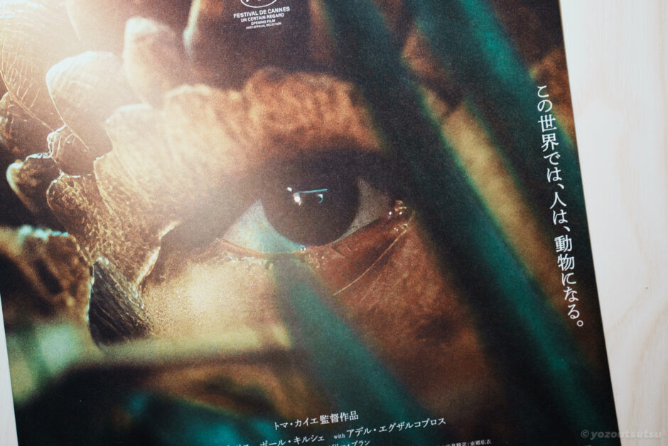 フランス映画『動物界』のあらすじと感想　おすすめ映画