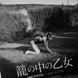 籠の中の乙女 4Kレストア版のあらすじと感想