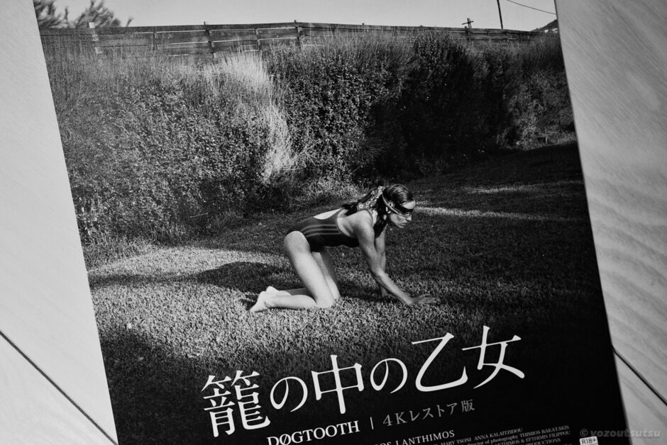 籠の中の乙女 4Kレストア版のあらすじと感想